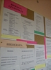 Biblioteka - ksi�gozbi�r